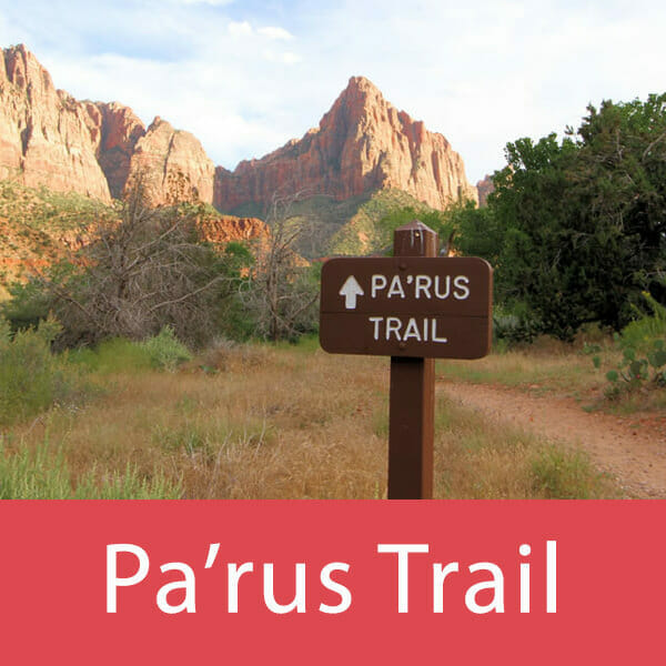 Parus trail