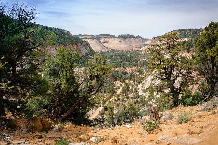 East Canyon Trail