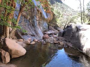 Pool in Zion National Park
