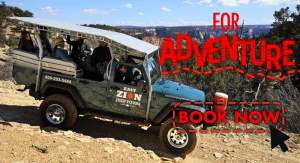 Zion Jeep Tour adventure
