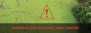 Toxic Algae Found in Zion National Park
