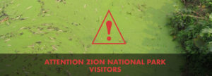 Toxic Algae in Zion National Park